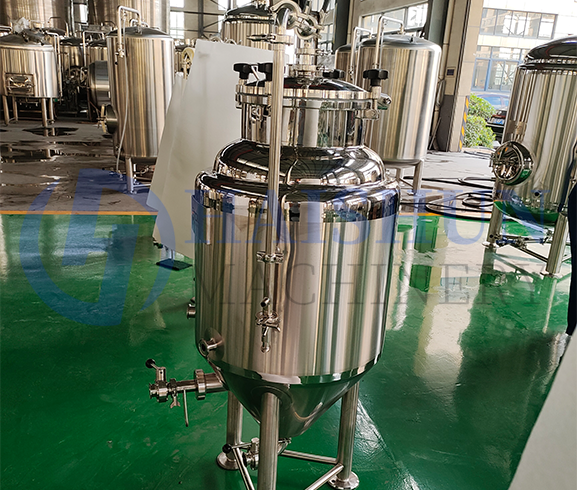 1BBL Tanques de Fermentação