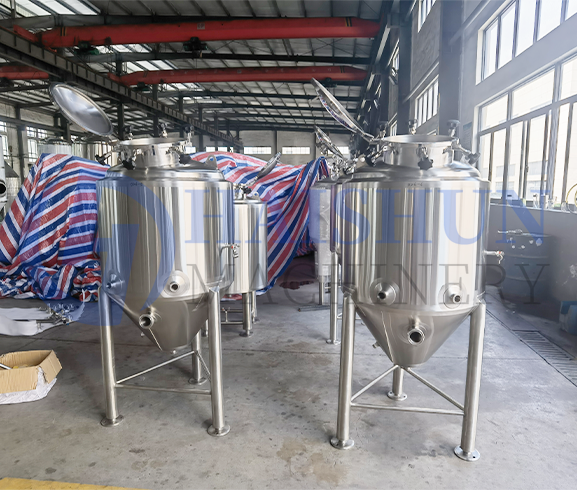 Tanques de Fermentação 300L