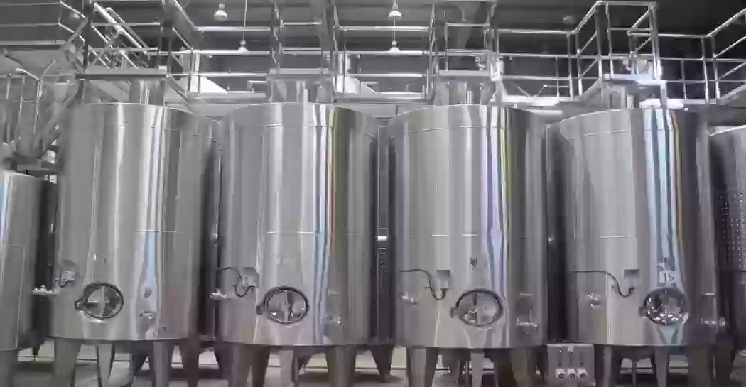 VINIFICAÇÃO